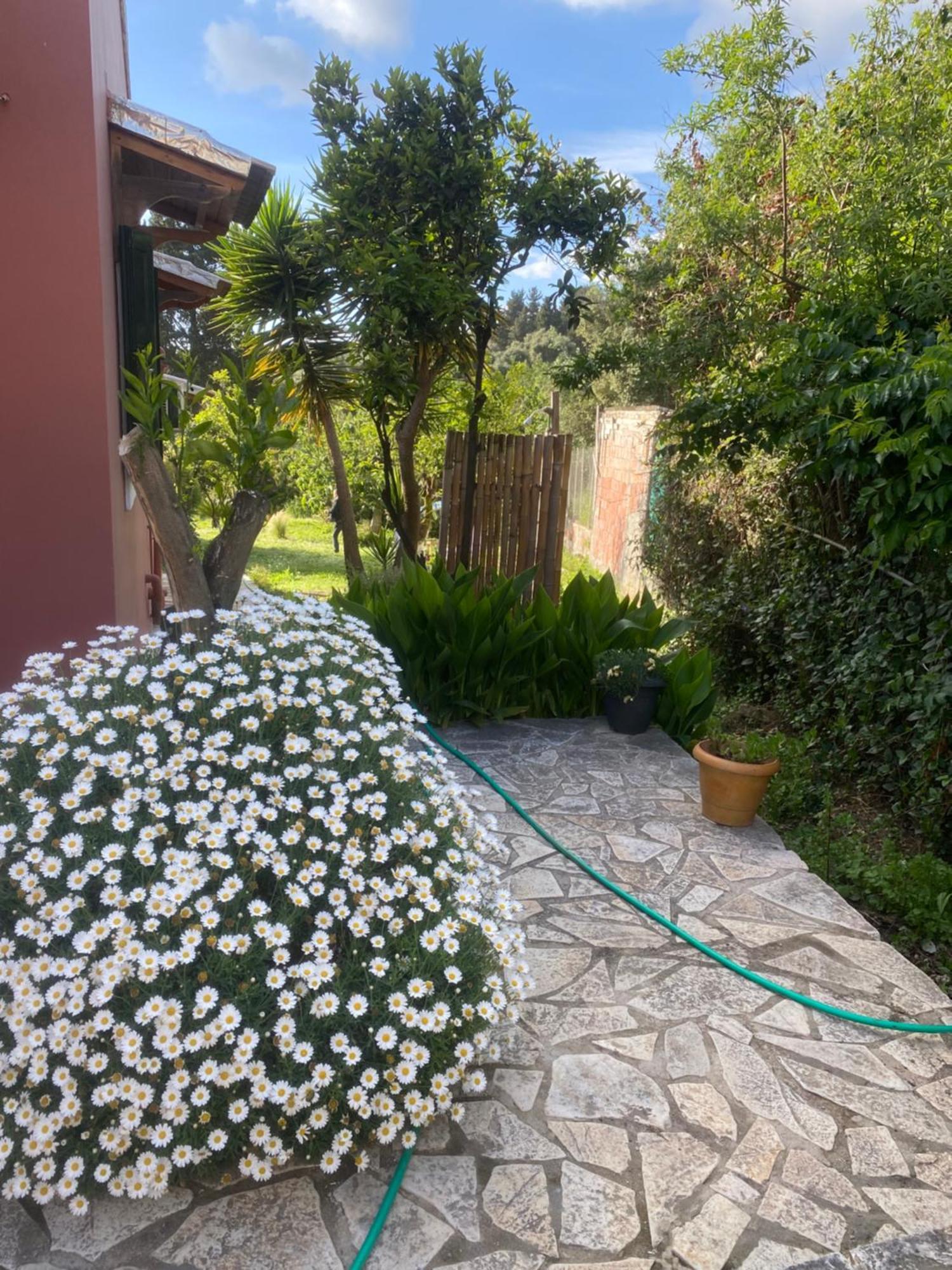 Casa Piccolino Villa Paramonas  Bagian luar foto